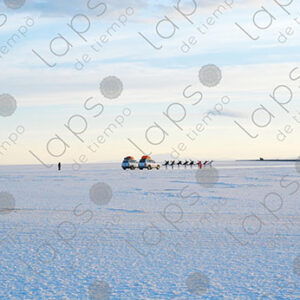 Landscape of Salar de Uyuni with Trucks and People
