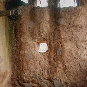 Mud Wall