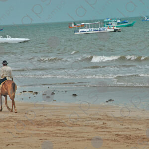 Old man riding horse on the seashore