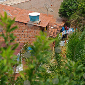 brick houses and tile roof