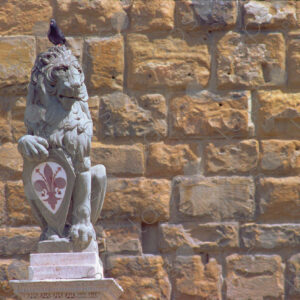 Marzocco the lion and the coat of arms of the city,