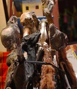 llama fetuses, amulet.