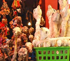 llama fetuses, amulet.