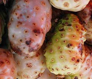 Noni fruits