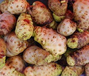 Noni fruits