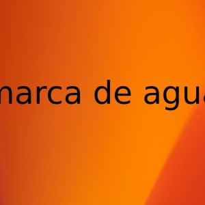 test junio 2026